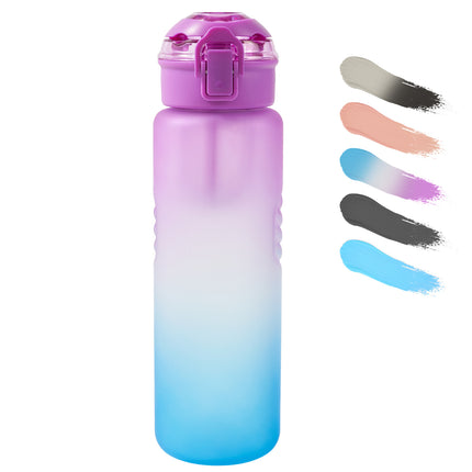 32oz BPA-Free Water Bottle Leak-Proof with Handle & Fruit Infuser