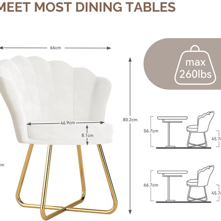 Modern Petal Backrest Accent Chair