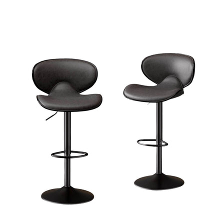 Bar Stools Set of 2 for Kitchen Counter