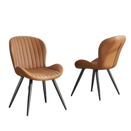 Modern Dining Chairs Set of 2