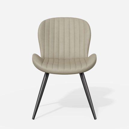Modern Dining Chairs Set of 2