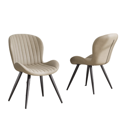 Modern Dining Chairs Set of 2